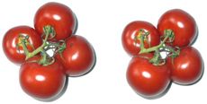 Tomaten4+4.jpg